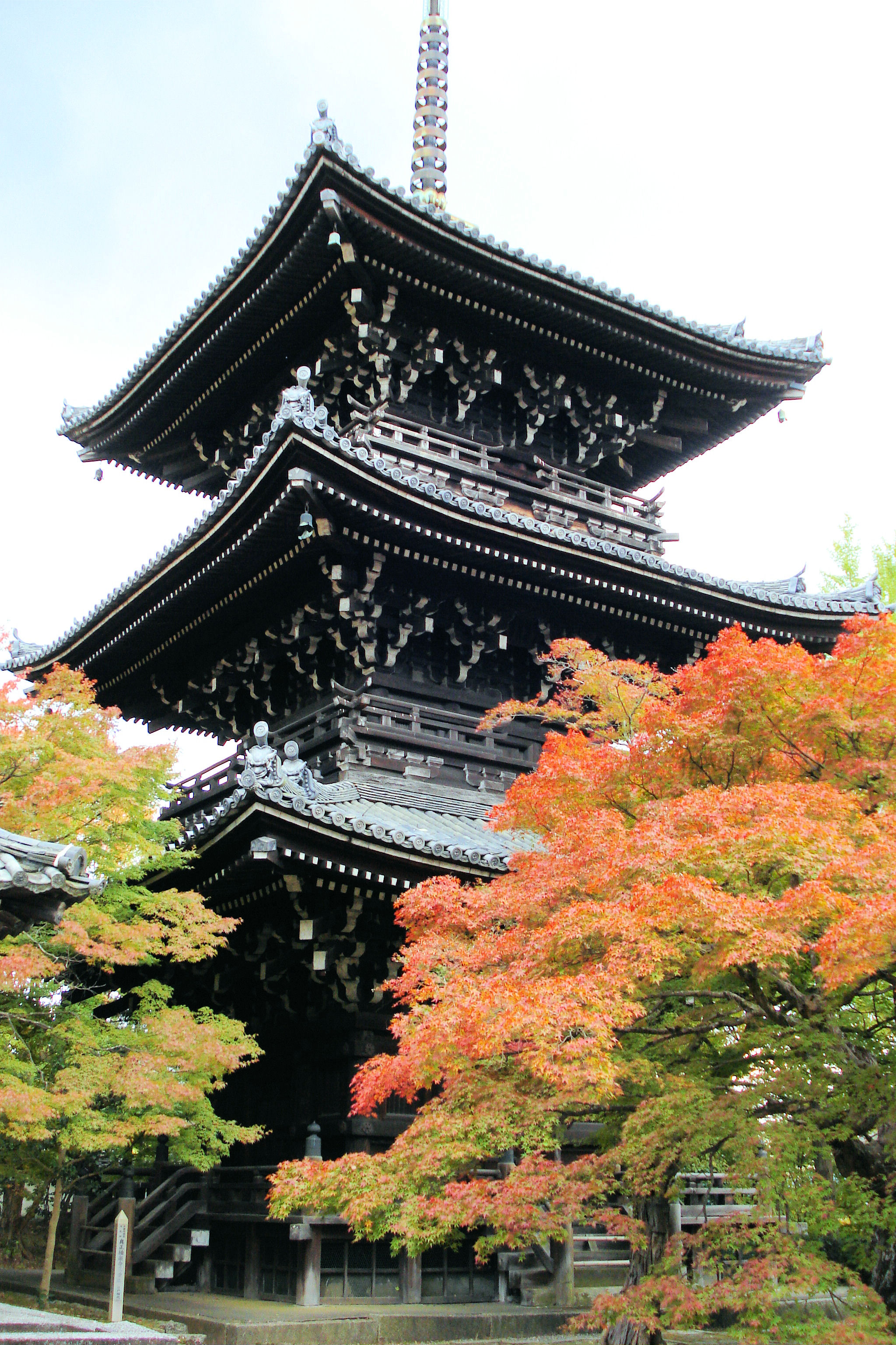 Dreistöckige Pagode des Shinnyodo-Tempels mit Herbstlaub (Kyoto)
