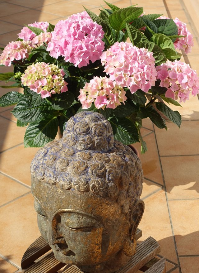 Buddha mit Hortensien als Kopfputz