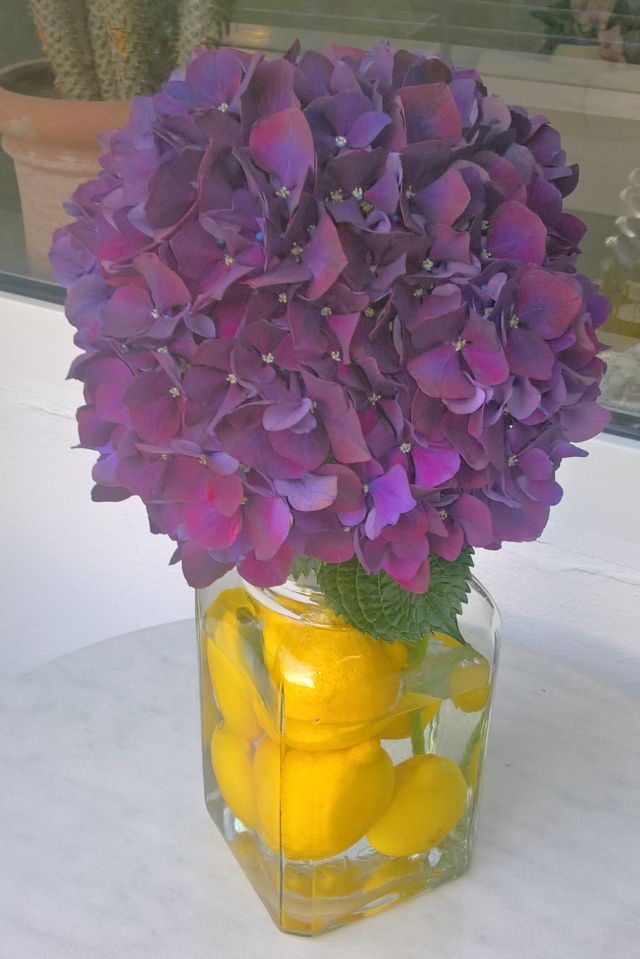 Hortensie in Glas mit Zitronen