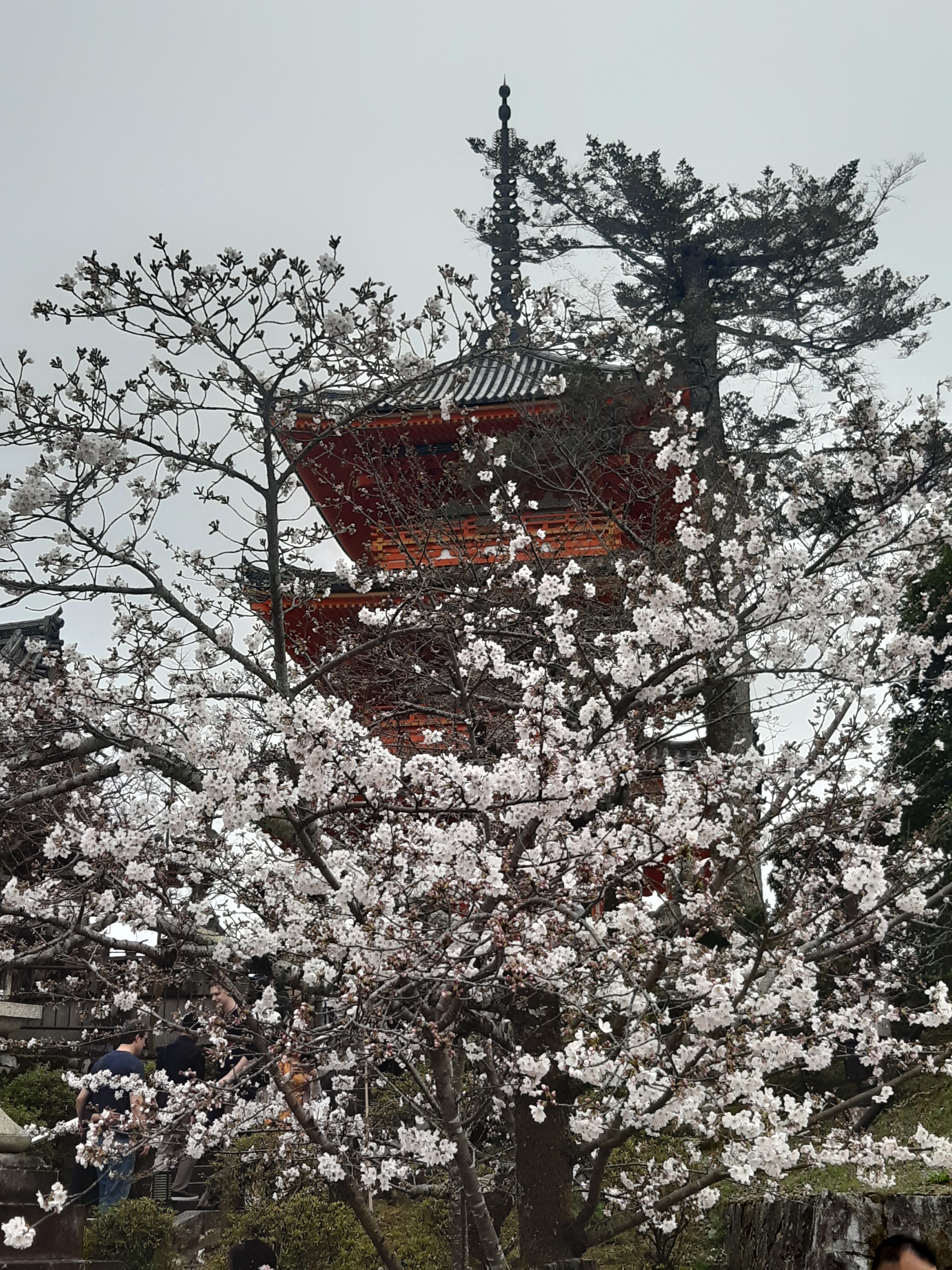 Kiyomizu-Pagode